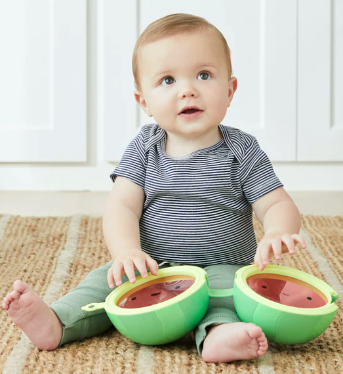 Skip Hop Farmstand Watermelon Drum $80 (70% New)