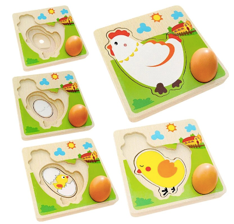 Chicken Growth Process Puzzle $60 (70% New)