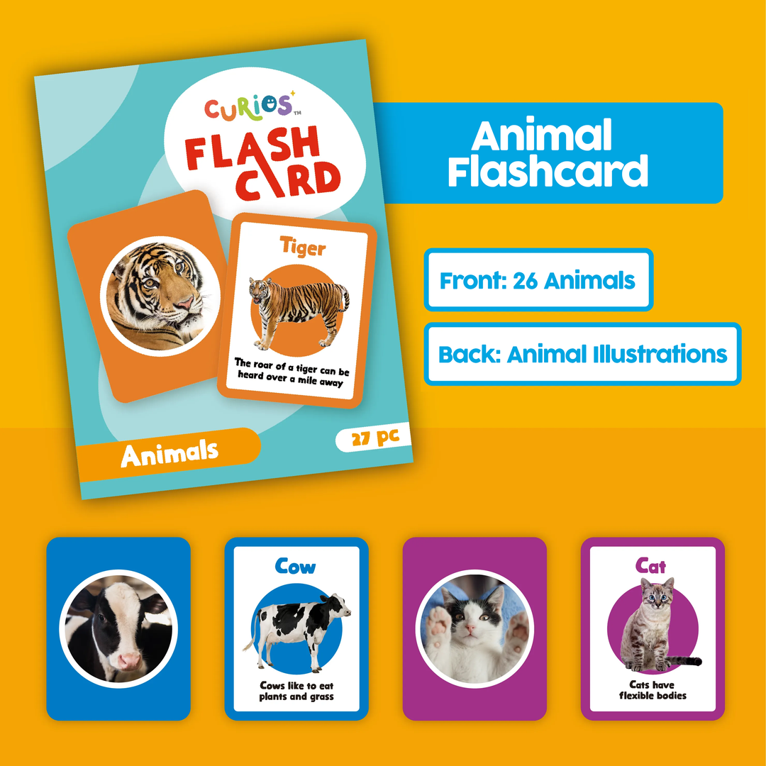 HAN Croco A8 Flashcard Box - Translucent Pink Vocabulary Learning System