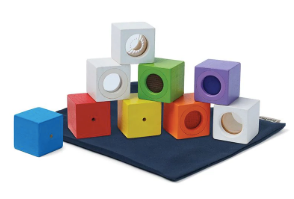 Plantoys 9pcs Sense Blocks (70% New)